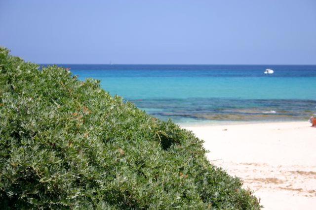 Villa Magnolia Muravera Εξωτερικό φωτογραφία